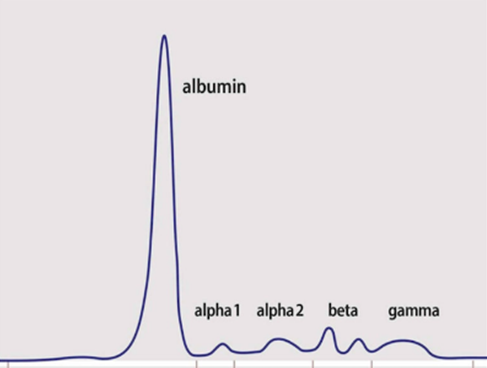 A graph of a blue line

Description automatically generated