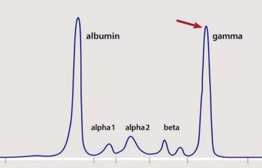 A diagram of a normalized curve

Description automatically generated with medium confidence