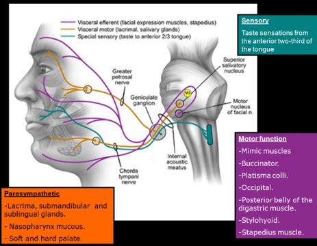Drugs affecting taste sensation
